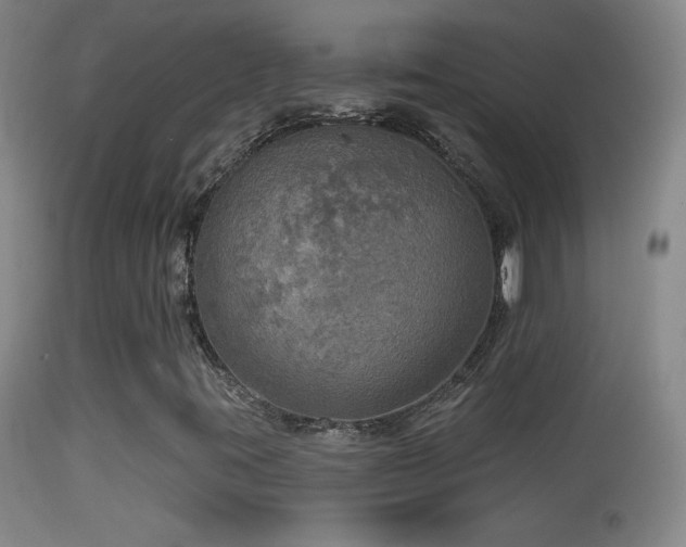 X0000114651395200910201458