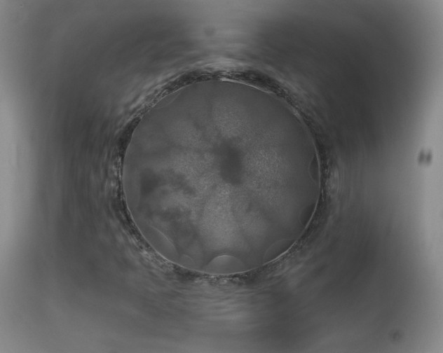 X0000114651397200910201458
