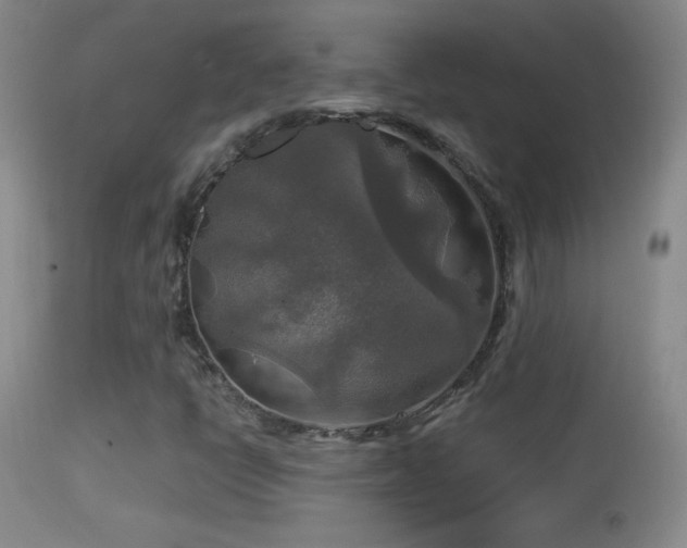 X0000114651398200910201458