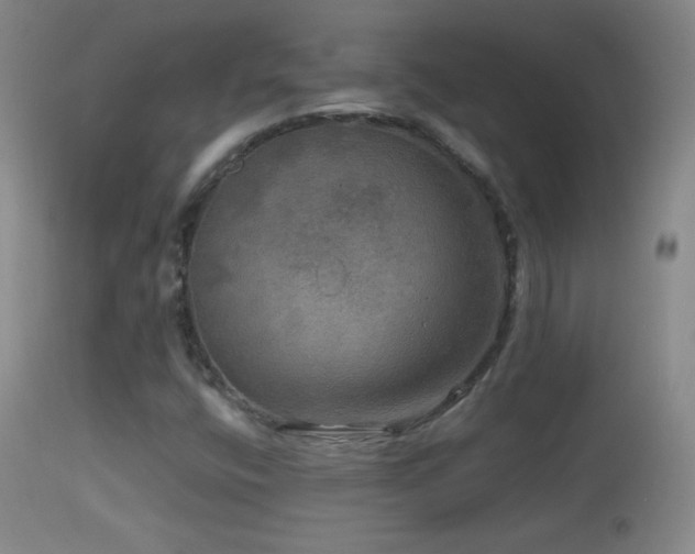 X0000114651400200910201458