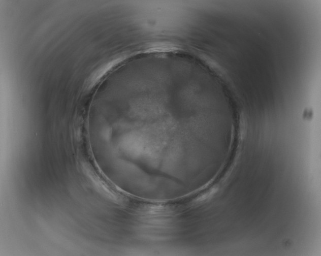 X0000114651401200910201458