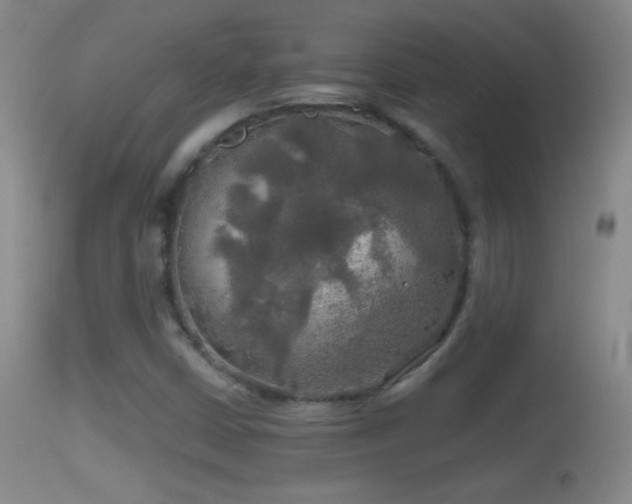 X0000114651402200910201458