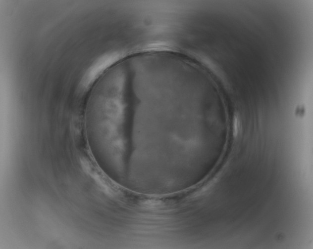 X0000114651405200910201458