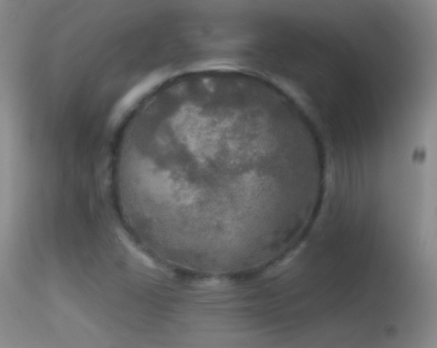 X0000114651406200910201458