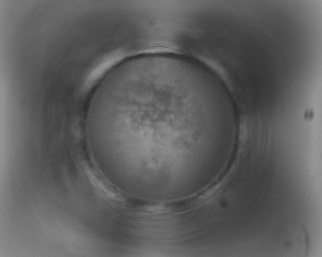 X0000114651407200910201458