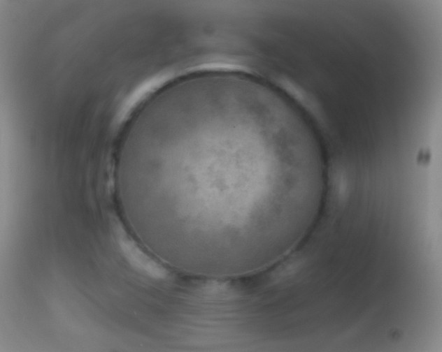 X0000114651408200910201458
