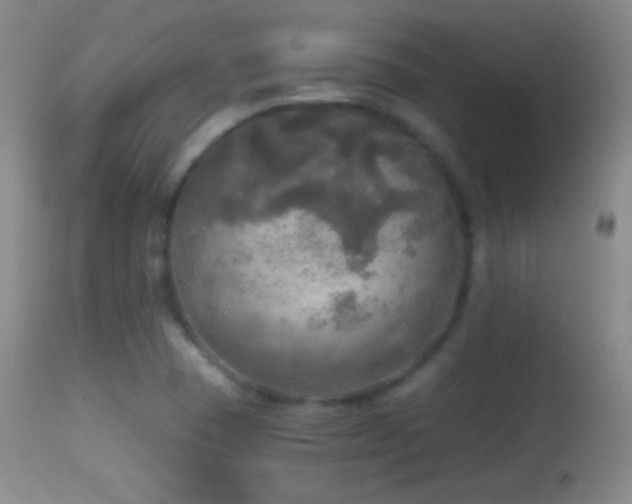 X0000114651409200910201458