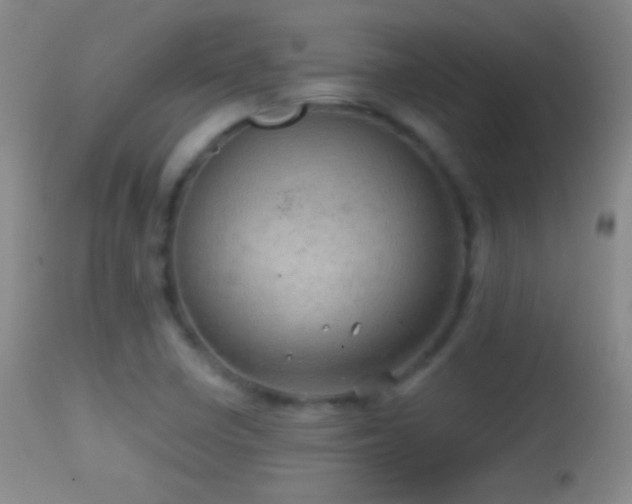 X0000114651410200910201458