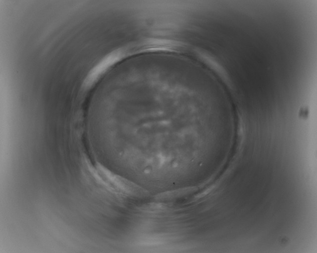 X0000114651411200910201458