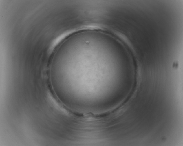X0000114651412200910201458