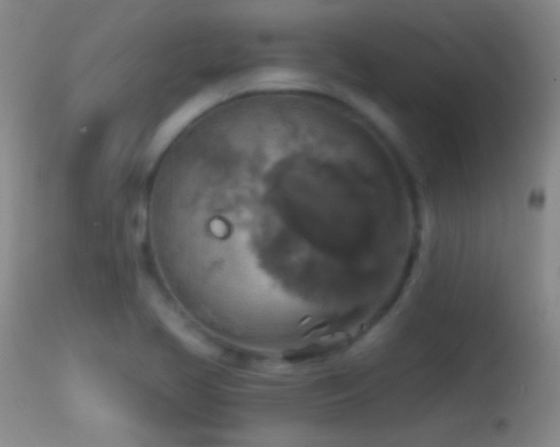 X0000114651413200910201458