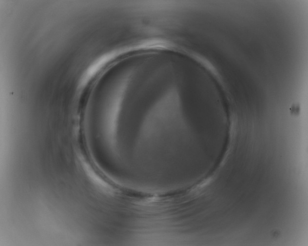 X0000114651414200910201458
