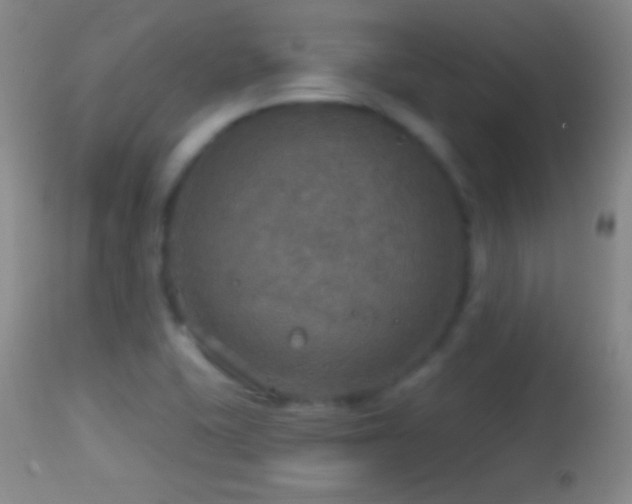 X0000114651415200910201458