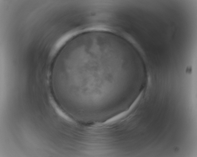 X0000114651416200910201458
