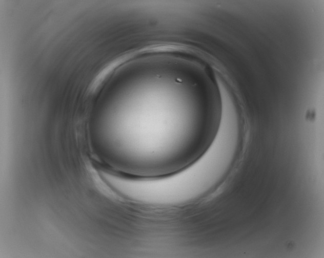X0000114651417200910201458
