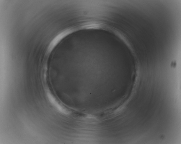 X0000114651418200910201458