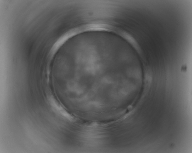 X0000114651419200910201458