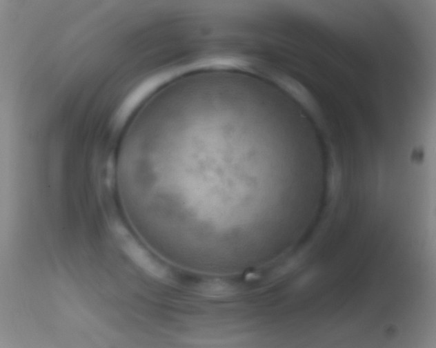 X0000114651420200910201458