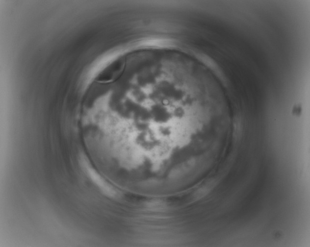 X0000114651421200910201458