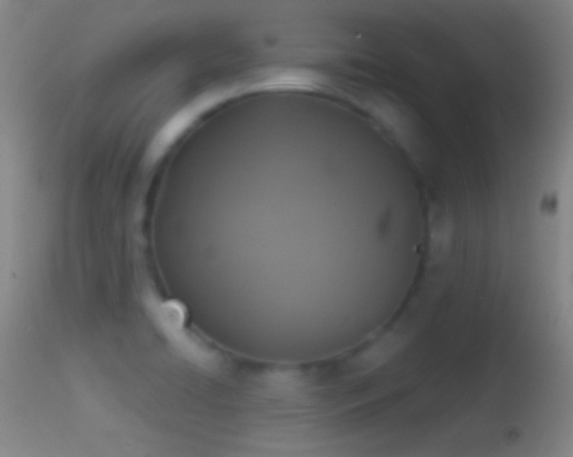 X0000114651422200910201458
