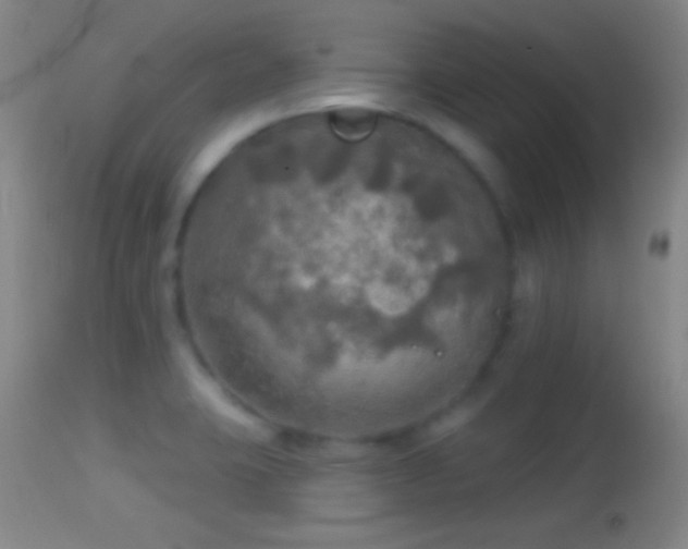 X0000114651423200910201458