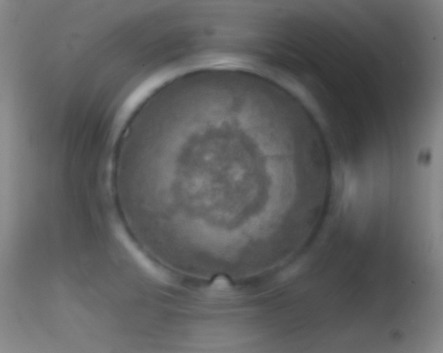 X0000114651424200910201458