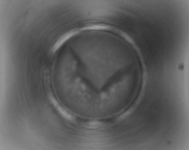 X0000114651425200910201458