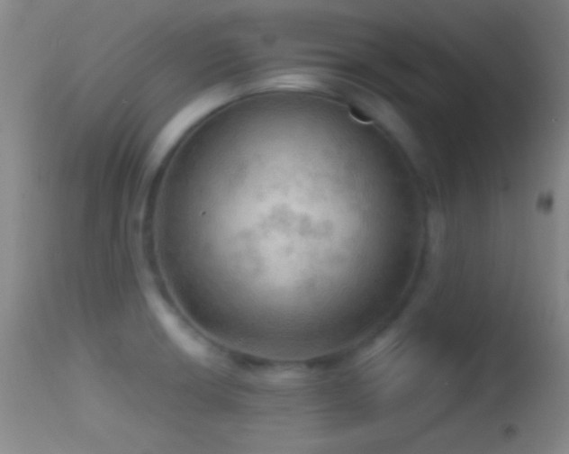 X0000114651426200910201458