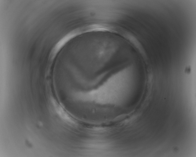 X0000114651427200910201458