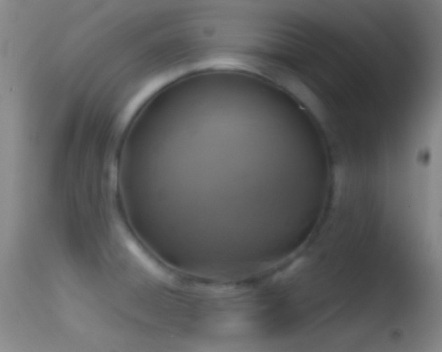 X0000114651428200910201458