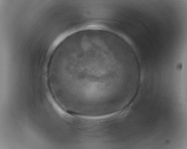 X0000114651430200910201458