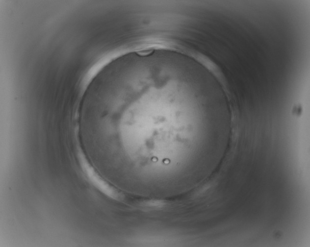 X0000114651431200910201458