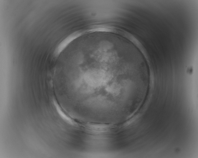 X0000114651433200910201458