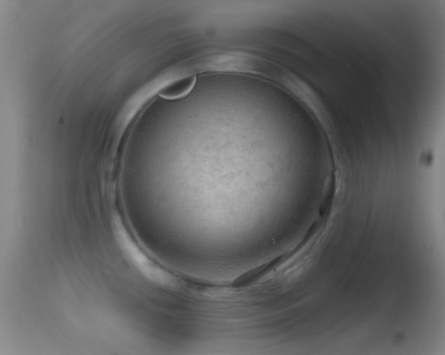 X0000114651434200910201458