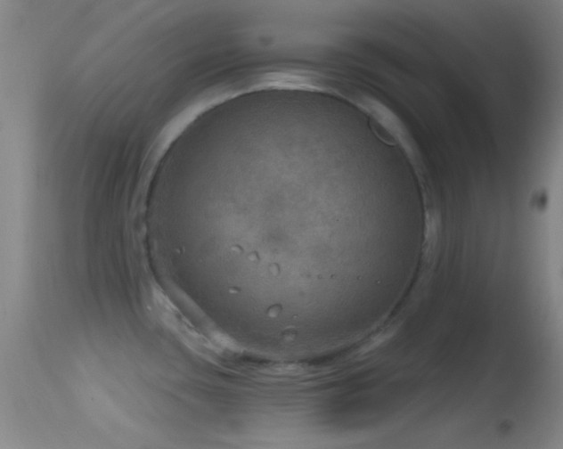 X0000114651435200910201458
