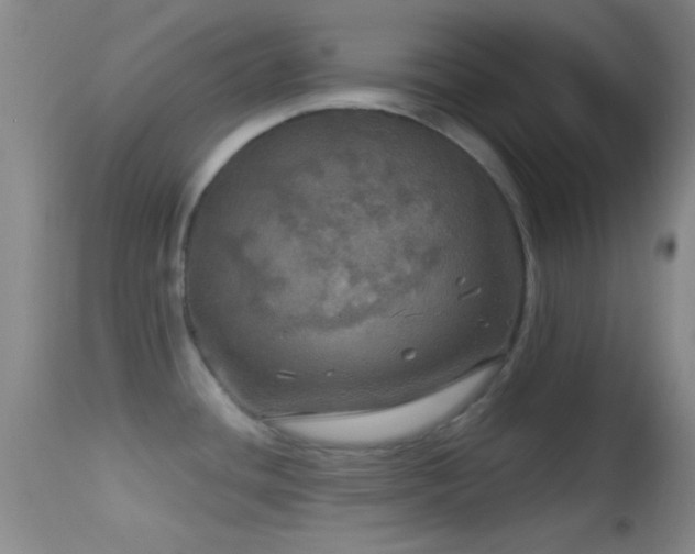 X0000114651436200910201458