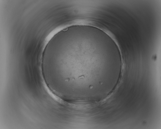 X0000114651437200910201458