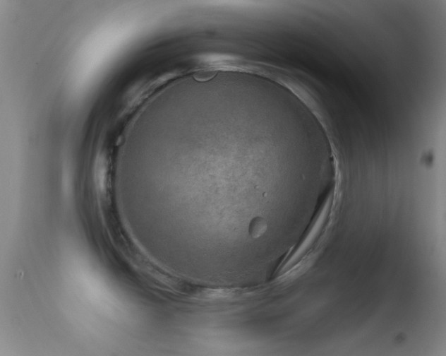 X0000114651438200910201458