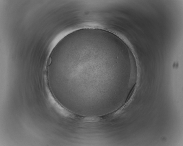 X0000114651440200910201459