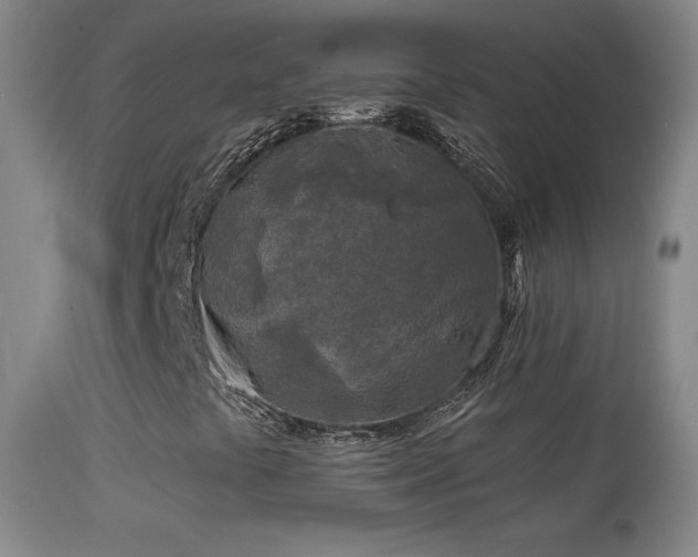 X0000114651441200910201458