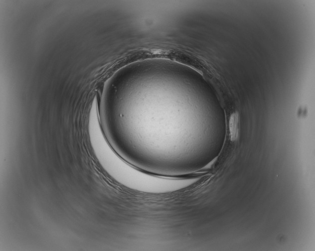 X0000114651443200910201458