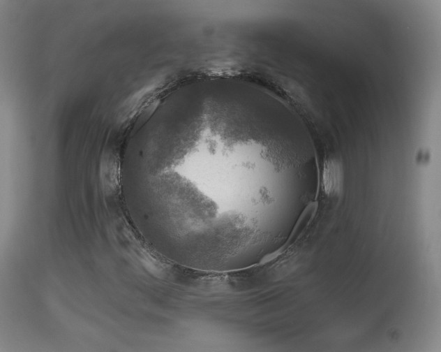X0000114651444200910201458