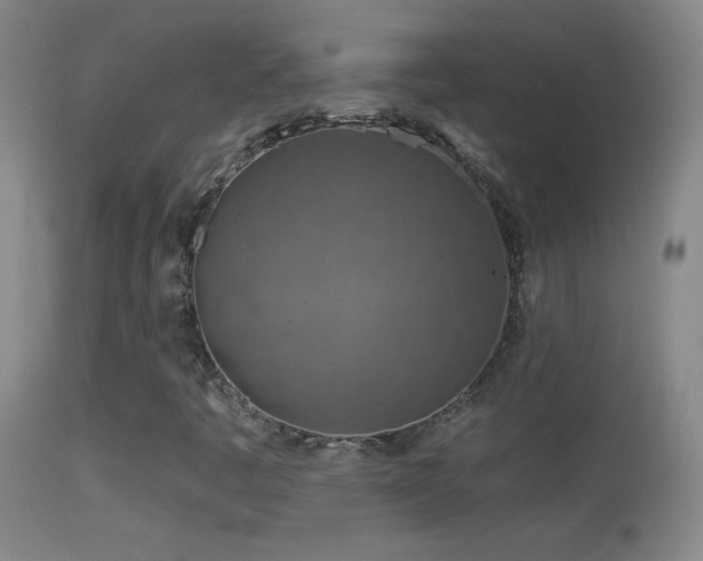 X0000114651445200910201458