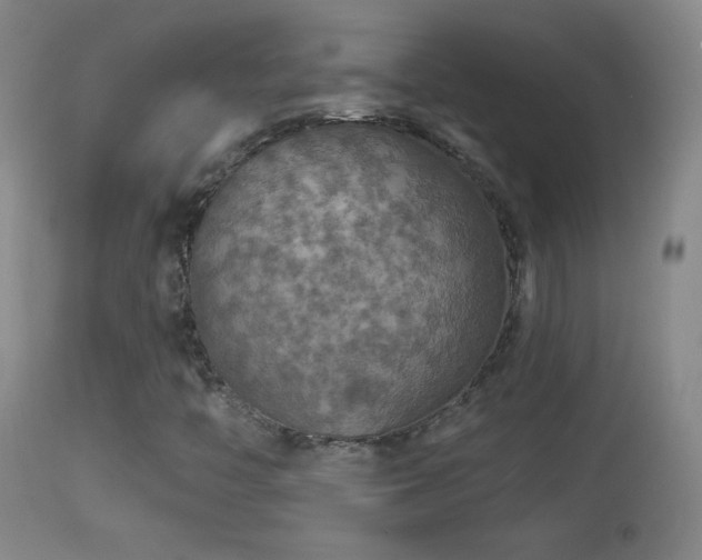 X0000114651446200910201458