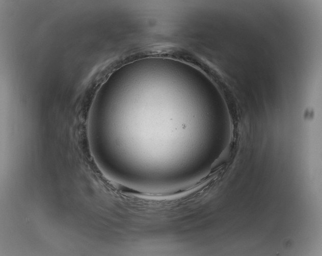 X0000114651447200910201458