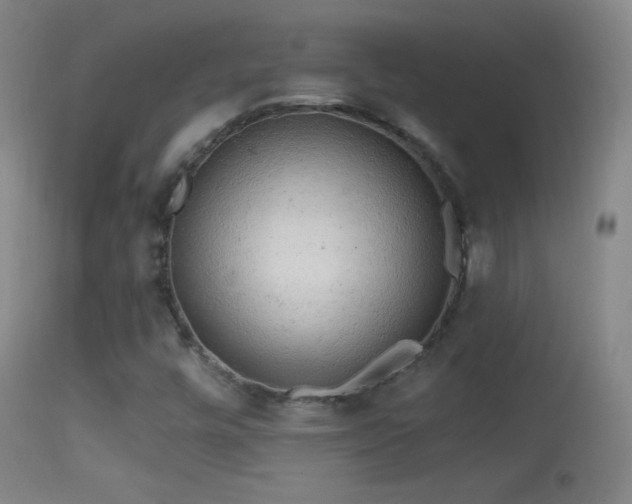 X0000114651448200910201458
