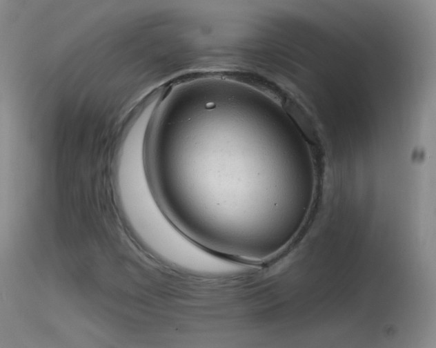 X0000114651449200910201458