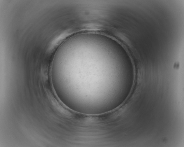 X0000114651451200910201458