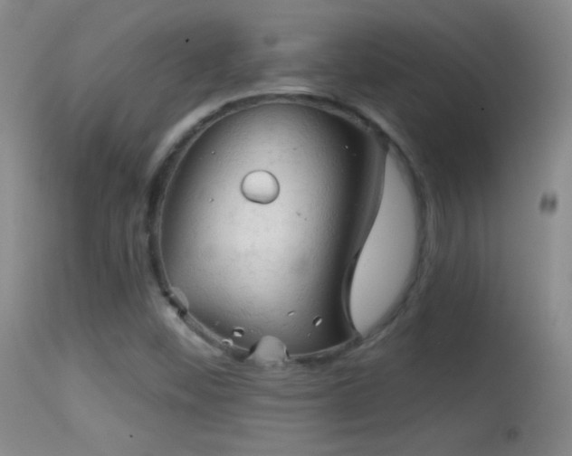 X0000114651452200910201458