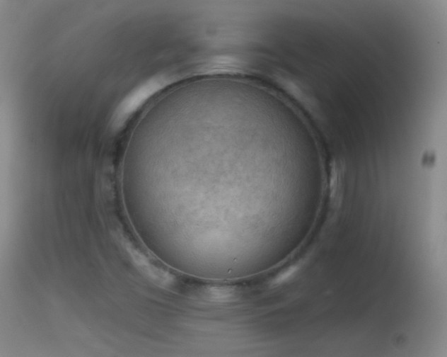 X0000114651453200910201458